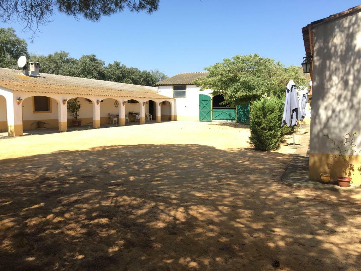 El Rocio 1 Gites Equestre Les Les Saintes-Maries-de-la-Mer Extérieur photo