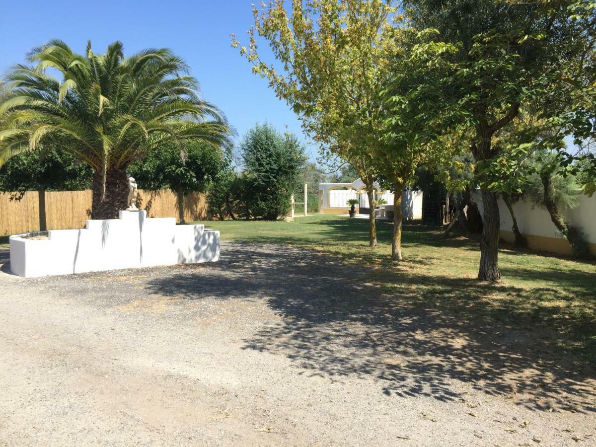 El Rocio 1 Gites Equestre Les Les Saintes-Maries-de-la-Mer Extérieur photo